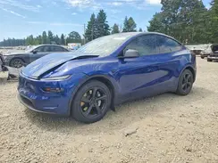 7SAYGDEE3TF391566 2026 TESLA MODEL Y