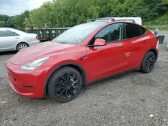 7SAYGDEE4NF436422 2022 TESLA MODEL Y
