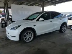 7SAYGDEE4NF493686 2022 TESLA MODEL Y