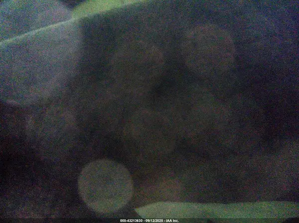 7SAYGDEE4PF614106 2023 TESLA MODEL Y - Image 8