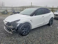 7SAYGDEE4PF628247 2023 TESLA MODEL Y