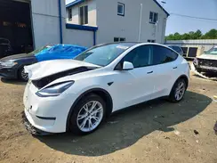 7SAYGDEE4PF664407 2023 TESLA MODEL Y