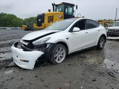 7SAYGDEE4PF797653 2023 TESLA MODEL Y