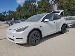 7SAYGDEE4RA325971 2024 TESLA MODEL Y