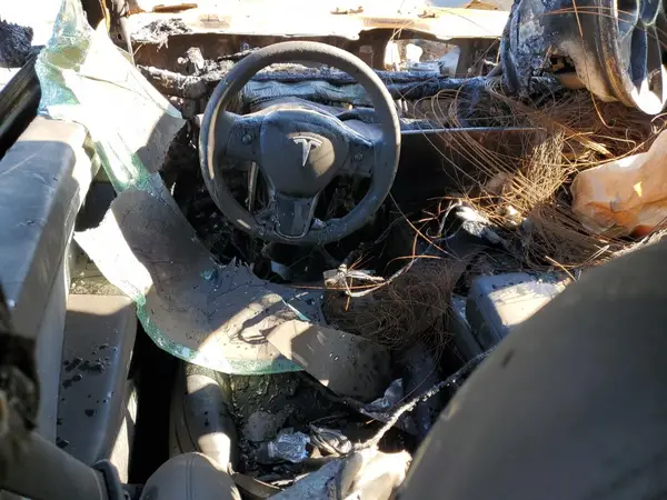 7SAYGDEE4RF080950 2024 TESLA MODEL Y - Image 8
