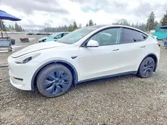 7SAYGDEE4RF190459 2024 TESLA MODEL Y