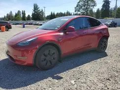 7SAYGDEE4SF248589 2025 TESLA MODEL Y