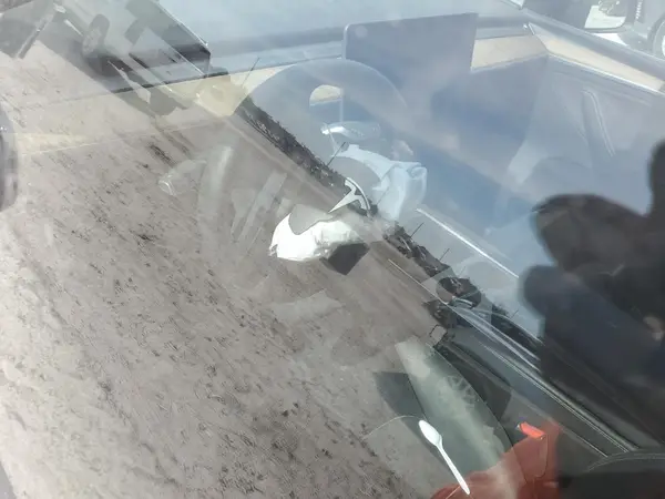 7SAYGDEE5PA143452 2023 TESLA MODEL Y - Image 8