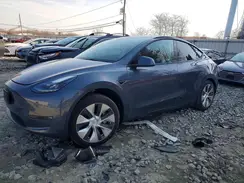 7SAYGDEE5PF666036 2023 TESLA MODEL Y