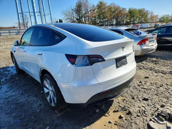 7SAYGDEE5PF704526 2023 TESLA MODEL Y - Image 2