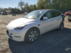 7SAYGDEE5PF828831 2023 TESLA MODEL Y
