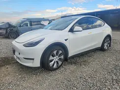 7SAYGDEE5PF843779 2023 TESLA MODEL Y