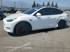 7SAYGDEE5RA225507 2024 TESLA MODEL Y