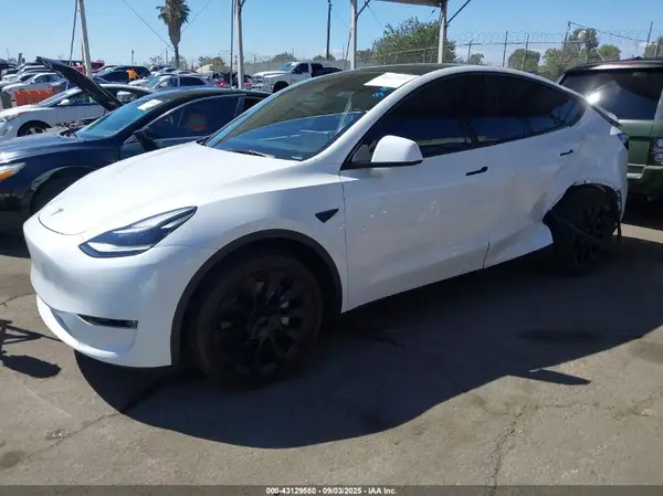 7SAYGDEE5RA226432 2024 TESLA MODEL Y - Image 2