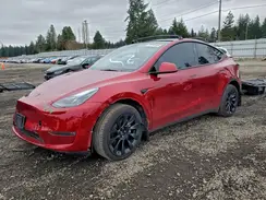 7SAYGDEE5RF066393 2024 TESLA MODEL Y