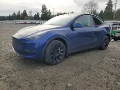 7SAYGDEE5RF075191 2024 TESLA MODEL Y
