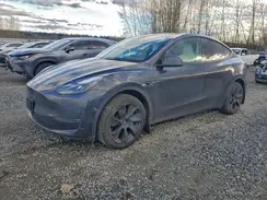7SAYGDEE5RF088927 2024 TESLA MODEL Y