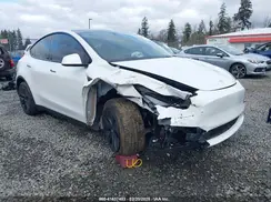 7SAYGDEE5RF117892 2024 TESLA MODEL Y