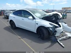 7SAYGDEE5RF181334 2024 TESLA MODEL Y