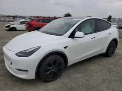 7SAYGDEE5RF196156 2024 TESLA MODEL Y