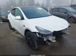 7SAYGDEE5RF206099 2024 TESLA MODEL Y