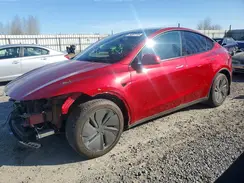 7SAYGDEE5TF371237 2026 TESLA MODEL Y