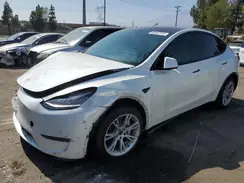 7SAYGDEE6NF361397 2022 TESLA MODEL Y