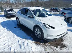 7SAYGDEE6NF426863 2022 TESLA MODEL Y