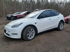 7SAYGDEE6NF428502 2022 TESLA MODEL Y