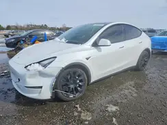 7SAYGDEE6PF612003 2023 TESLA MODEL Y