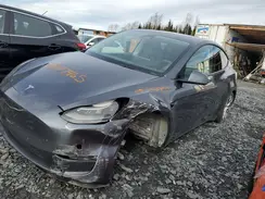 7SAYGDEE6PF627830 2023 TESLA MODEL Y