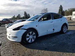 7SAYGDEE6PF810726 2023 TESLA MODEL Y