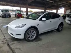 7SAYGDEE6PF816154 2023 TESLA MODEL Y