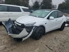 7SAYGDEE6PF868271 2023 TESLA MODEL Y