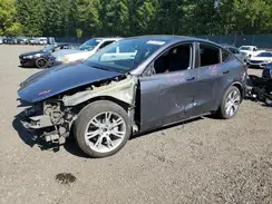 7SAYGDEE6PF921891 2023 TESLA MODEL Y