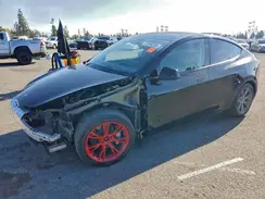 7SAYGDEE6RA242459 2024 TESLA MODEL Y