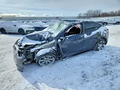 7SAYGDEE6RA274182 2024 TESLA MODEL Y