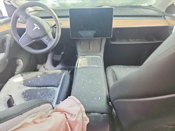 7SAYGDEE6RA274182 2024 TESLA MODEL Y - Image 8