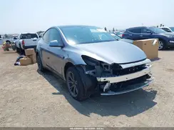 7SAYGDEE6RA300764 2024 TESLA MODEL Y