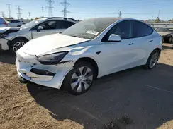 7SAYGDEE6RF029255 2024 TESLA MODEL Y