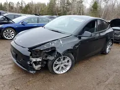 7SAYGDEE6RF042054 2024 TESLA MODEL Y