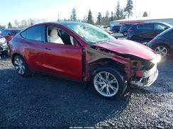 7SAYGDEE6RF045374 2024 TESLA MODEL Y