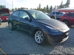 7SAYGDEE6RF074261 2024 TESLA MODEL Y