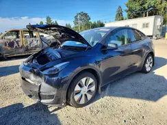 7SAYGDEE6RF081694 2024 TESLA MODEL Y