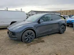 7SAYGDEE6RF181519 2024 TESLA MODEL Y