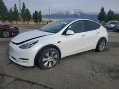 7SAYGDEE7NA017557 2022 TESLA MODEL Y