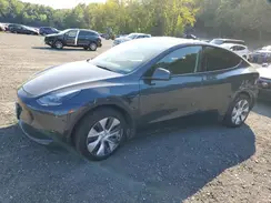 7SAYGDEE7RA282193 2024 TESLA MODEL Y