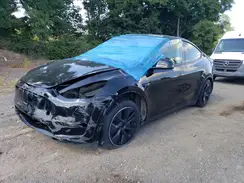 7SAYGDEE7RA327259 2024 TESLA MODEL Y