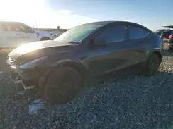 7SAYGDEE7RF013565 2024 TESLA MODEL Y