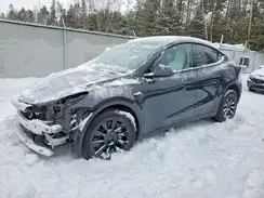 7SAYGDEE7RF230579 2024 TESLA MODEL Y